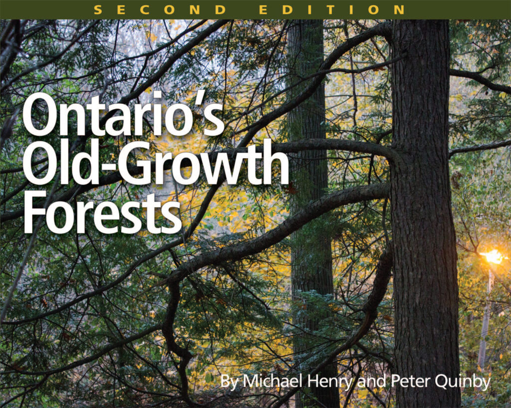 Ontario's old-growth forests second edition